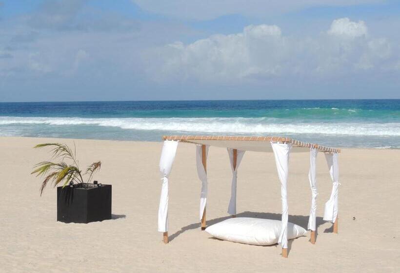 بانگلوی استاندارد, Ecolodge Riake Resort & Villa