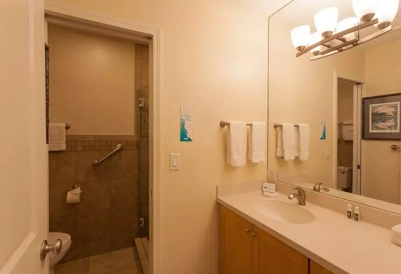 １ベッドルームアパートメント, Napili Sunset Beach Front Resort