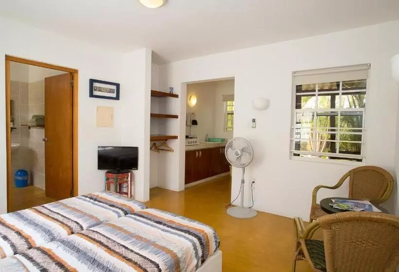 استودیوی لوکس, Dive Hut   Boutique Apartments