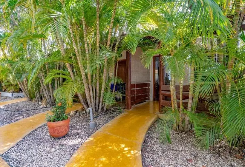 استودیوی لوکس, Dive Hut   Boutique Apartments