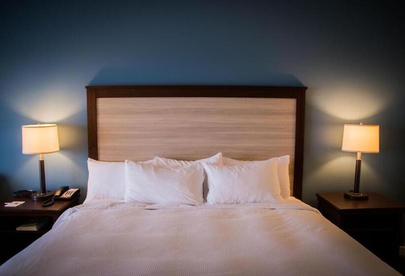 带景观的带双人床的标准间, The Inn At Harbor Shores