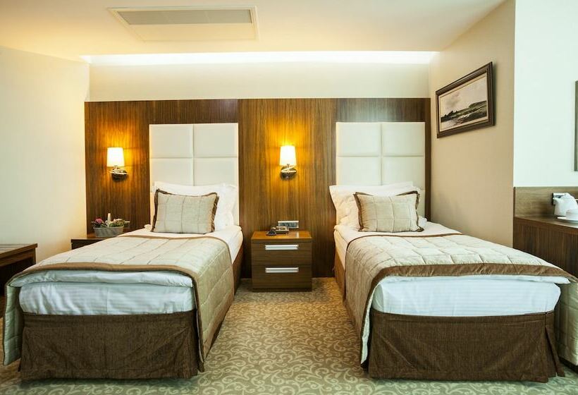 Quarto Economy, Vivaldi Ce Gold