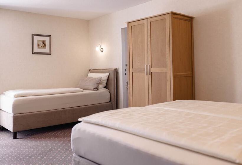 带阳台的三人标准间, Wellness Pension Am Rain