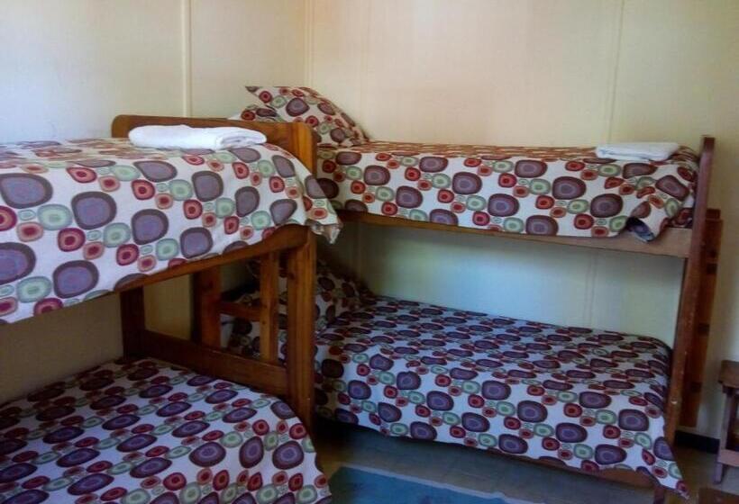 חדר סטנדרט לארבעה, Hostel Los Pioneros