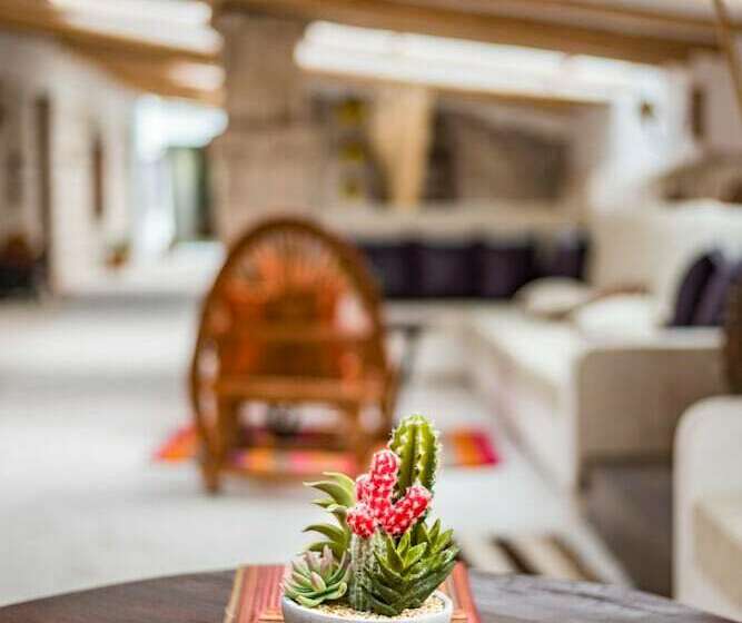 اتاق استاندارد با تخت دوبل, De Sal Luna Salada