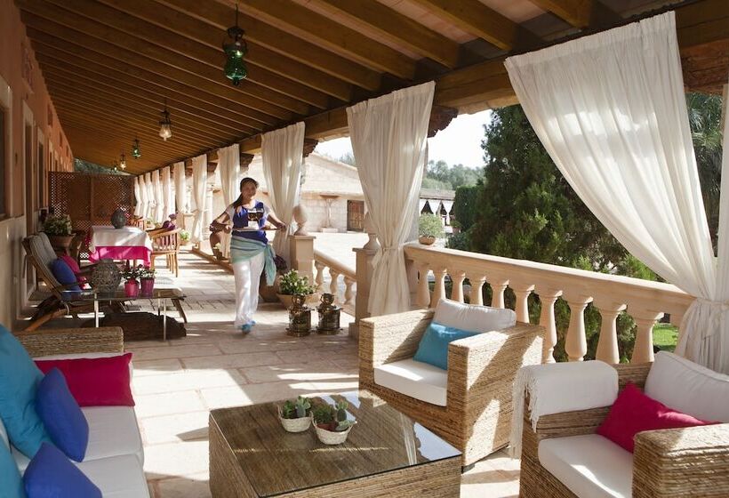 テラス付きスタンダードルーム, Es Revellar Art Resort  Adults Only