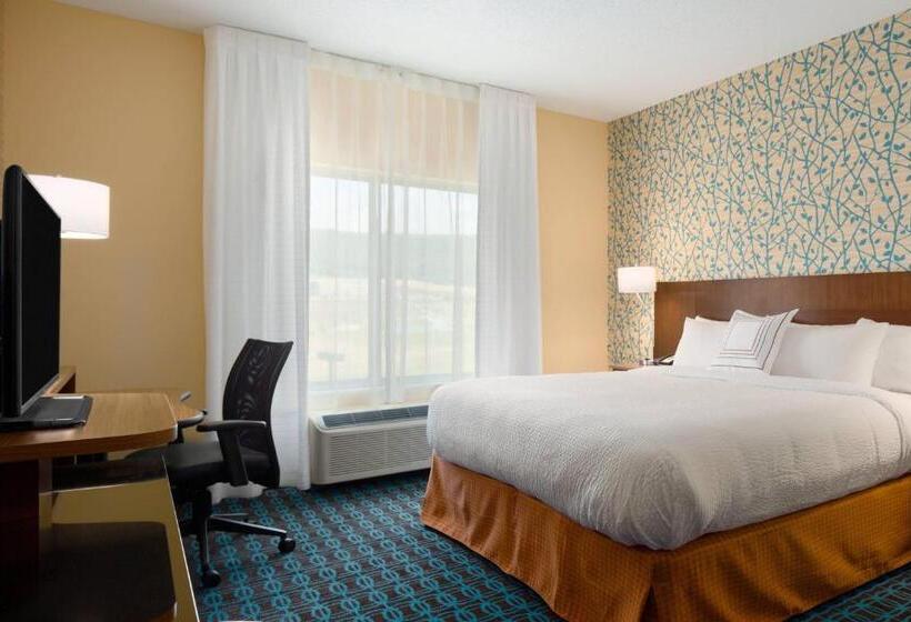 带大床的标准间, Fairfield Inn & Suites By Marriott Bristol