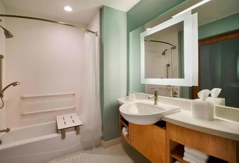 キングサイドベッドのスタンダードワンルーム, Springhill Suites By Marriott Houston Downtown/convention Center