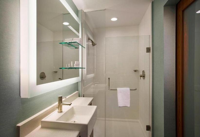 带大床的标准工作室, Springhill Suites By Marriott Houston Downtown/convention Center