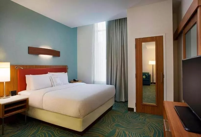キングサイドベッドのスタンダードワンルーム, Springhill Suites By Marriott Houston Downtown/convention Center