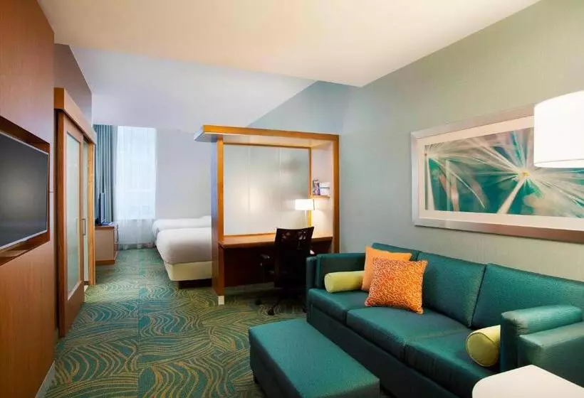 スタンダードスタジオ, Springhill Suites By Marriott Houston Downtown/convention Center