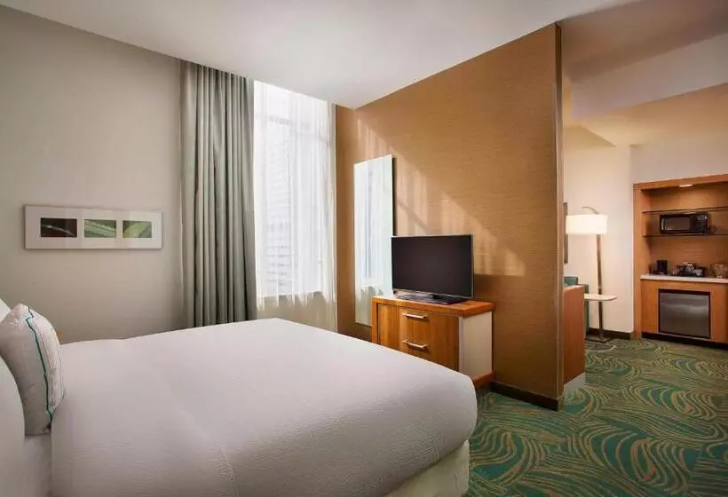 ダブルベッドのスタンダードスタジオ, Springhill Suites By Marriott Houston Downtown/convention Center