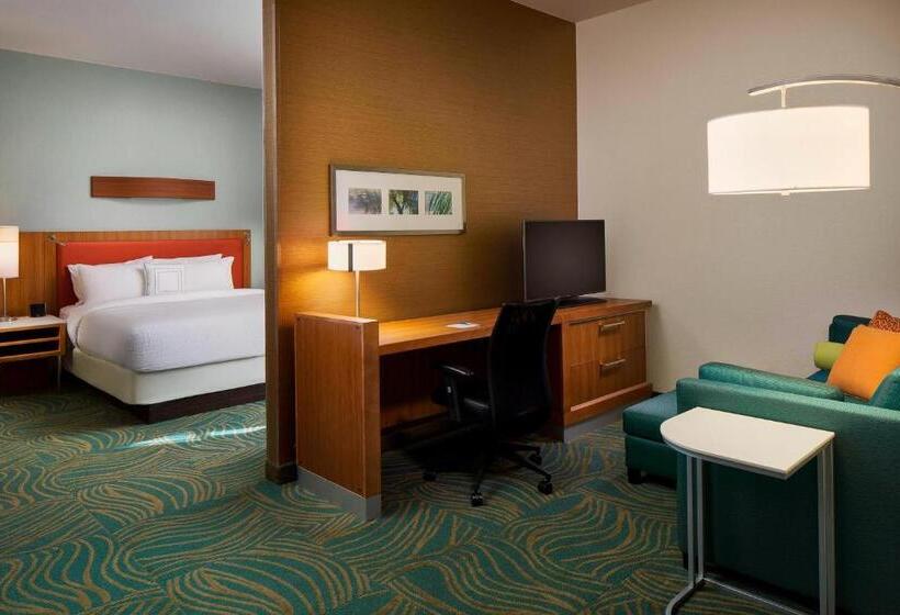 带双人床的标准工作室, Springhill Suites By Marriott Houston Downtown/convention Center