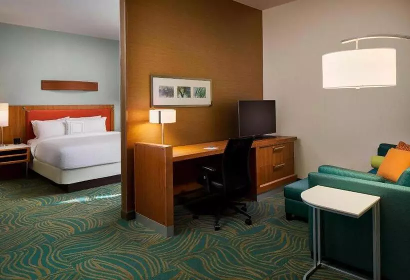 ダブルベッドのスタンダードスタジオ, Springhill Suites By Marriott Houston Downtown/convention Center