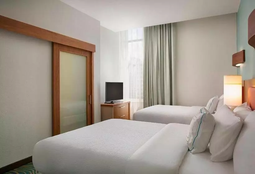 ダブルベッドのスタンダードスタジオ, Springhill Suites By Marriott Houston Downtown/convention Center