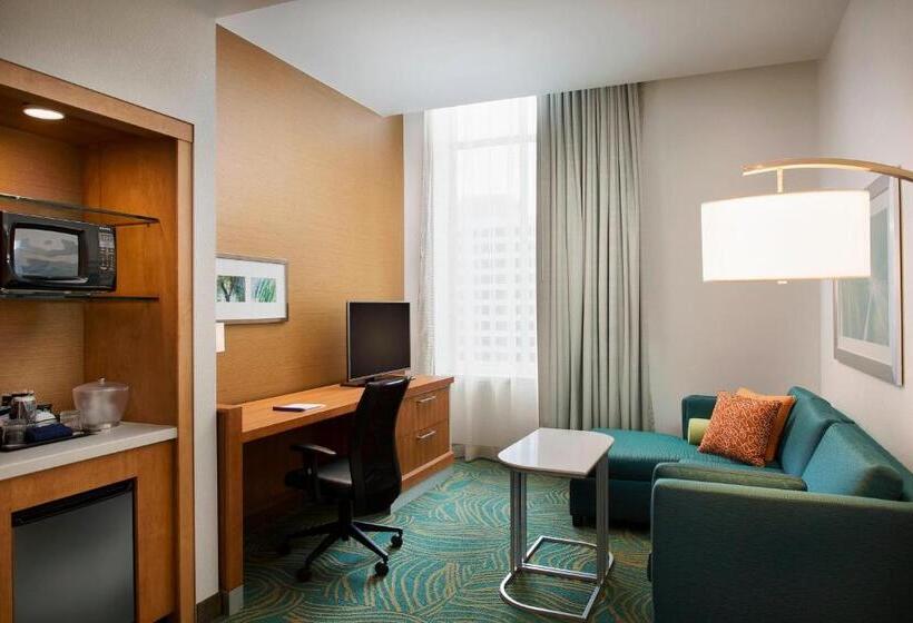 إستوديو قياسى سرير مزدوج, Springhill Suites By Marriott Houston Downtown/convention Center