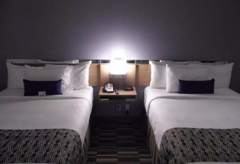 スタンダードルーム, Microtel Inn & Suites By Wyndham Vernal/naples