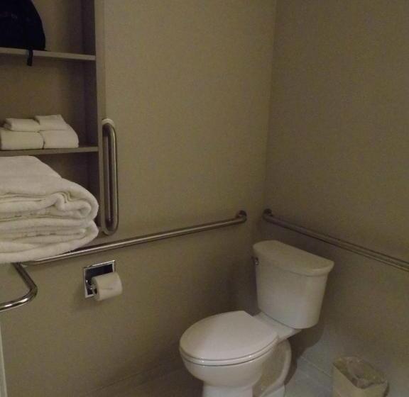 Номер Стандарт Адаптированный для Инвалидов, Microtel Inn & Suites By Wyndham Vernal/naples
