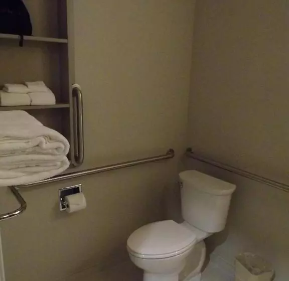 身障者適用スタンダードルーム, Microtel Inn & Suites By Wyndham Vernal/naples