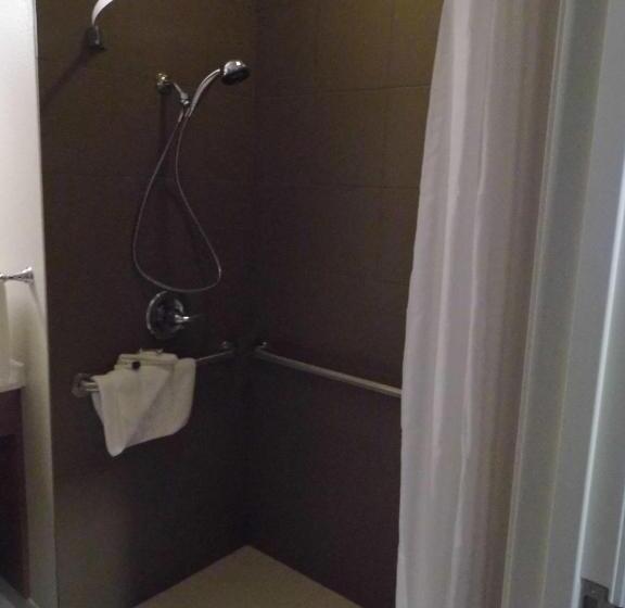 غرفة قياسية لذوى الاحتياجات الخاصة, Microtel Inn & Suites By Wyndham Vernal/naples