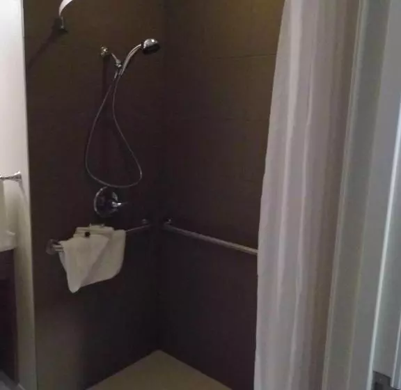 身障者適用スタンダードルーム, Microtel Inn & Suites By Wyndham Vernal/naples