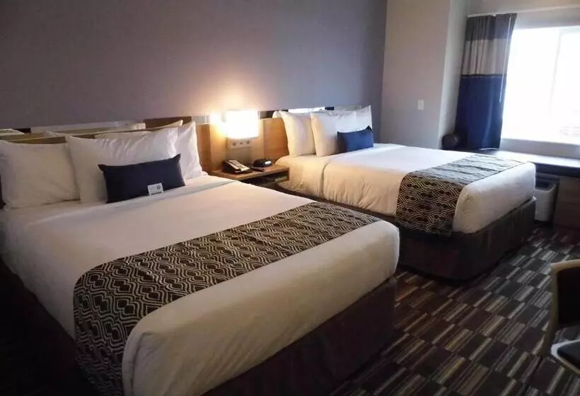 身障者適用スタンダードルーム, Microtel Inn & Suites By Wyndham Vernal/naples