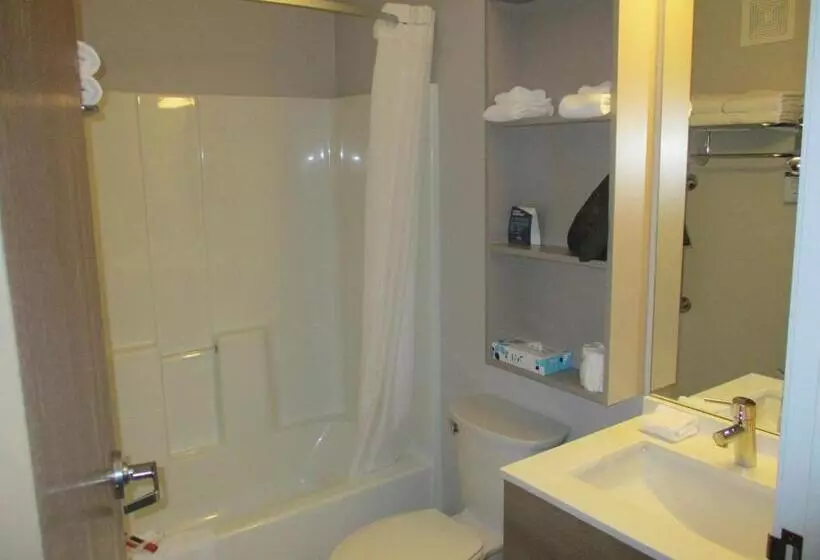 デラックスルーム, Microtel Inn & Suites By Wyndham Vernal/naples