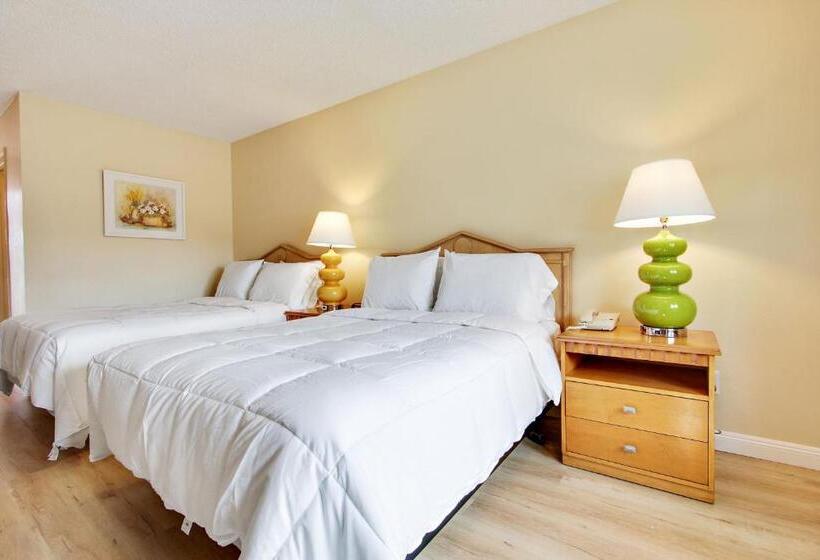 غرفة إقتصادية, Rotex Western Inn