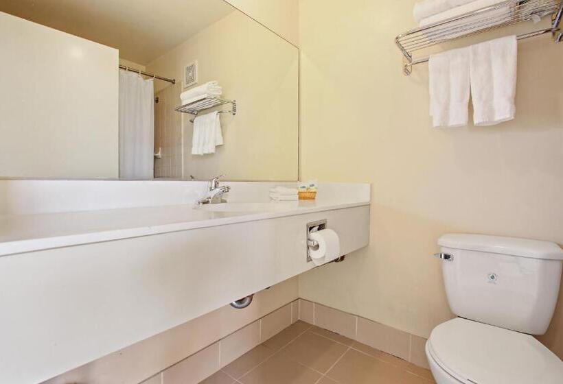 غرفة إقتصادية فردية, Rotex Western Inn