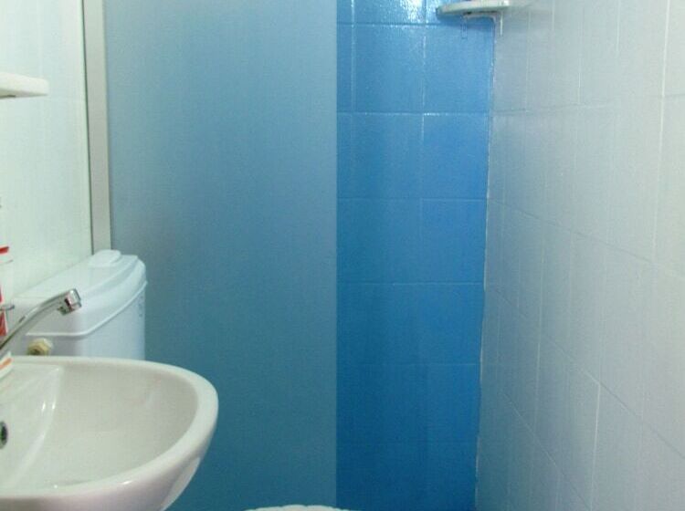 이코노미 룸, Amazon Antique