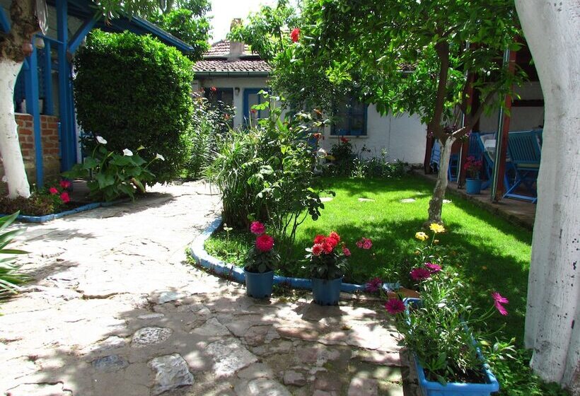 スタンダードルーム, Amazon Antique