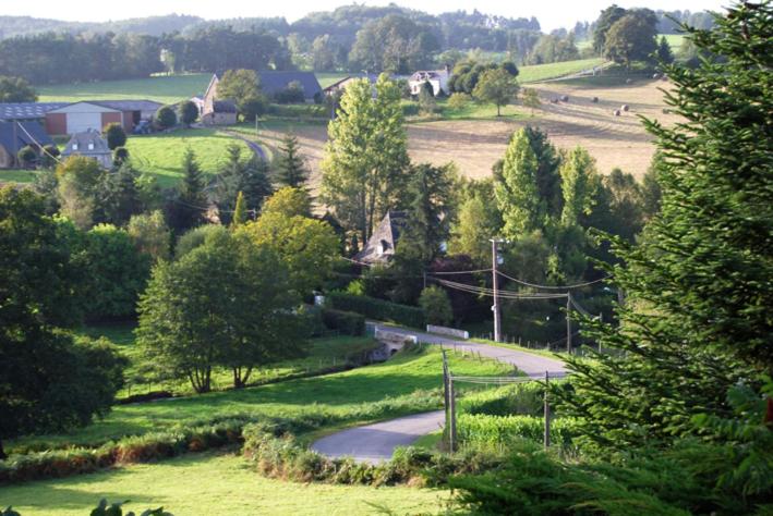 غرفة قياسية, Auberge Des Ruines De Merle