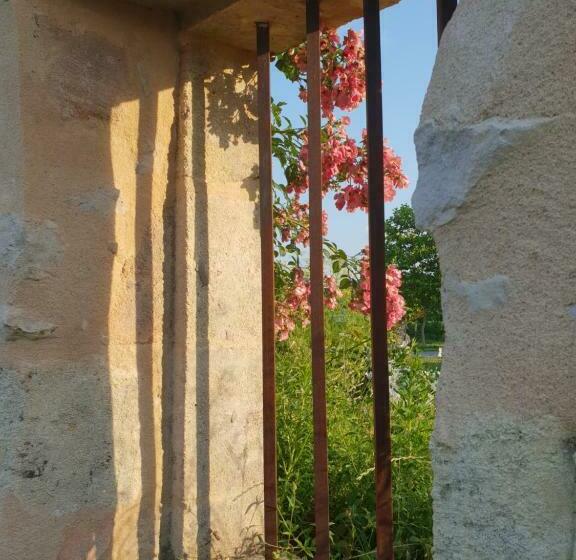 Номер Стандарт Вид на Бассейн, Domaine Canteloup