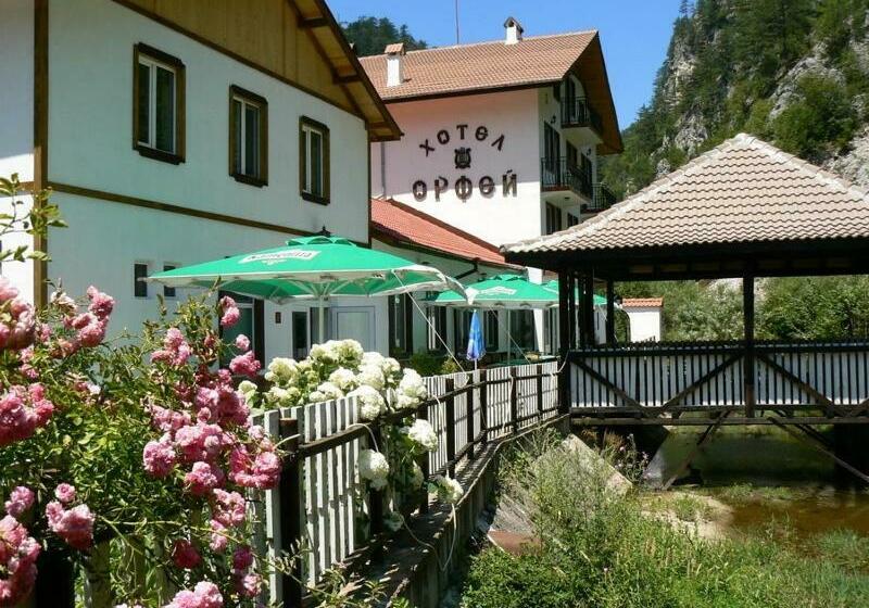 غرفة قياسية, семеен хотел орфей