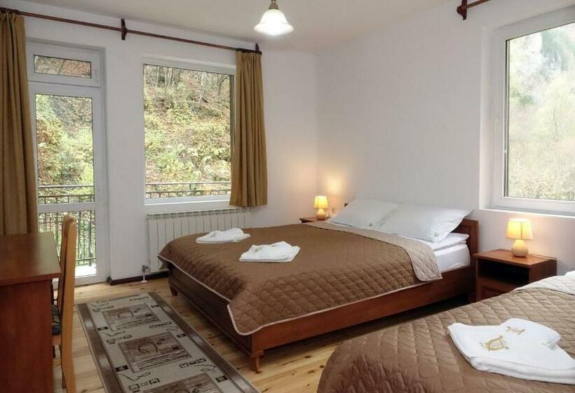 غرفة قياسية, семеен хотел орфей