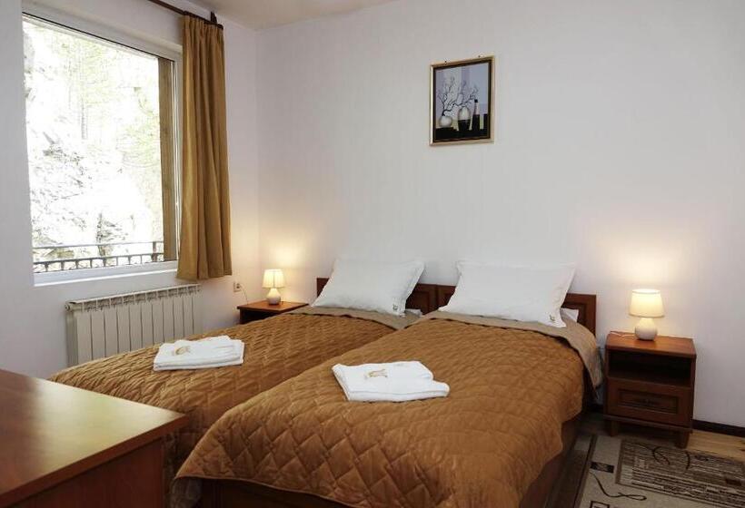 غرفة قياسية, семеен хотел орфей