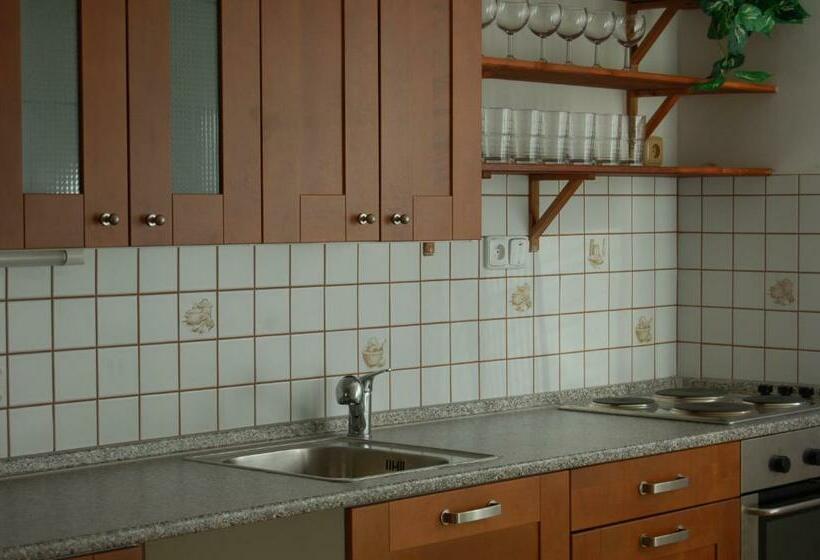 غرفة قياسية, Penzion Na Devitce