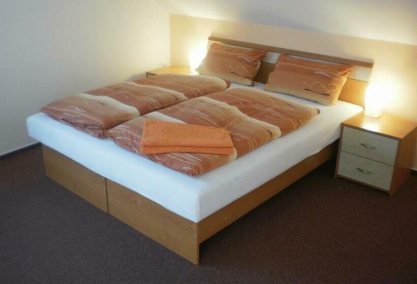 غرفة قياسية, Penzion Na Devitce