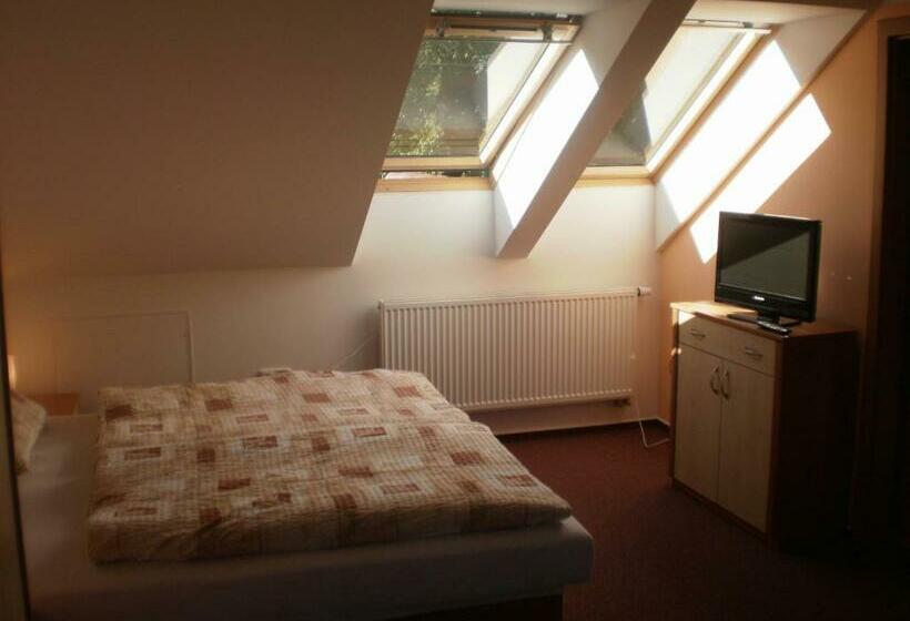 غرفة قياسية, Penzion Na Devitce