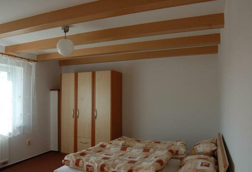 غرفة قياسية, Penzion Na Devitce