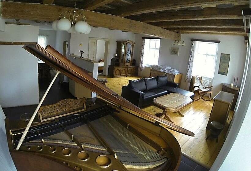 スタンダードルーム, Statek Křinice