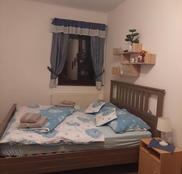 חדר סטנדרט, Penzion U Statku