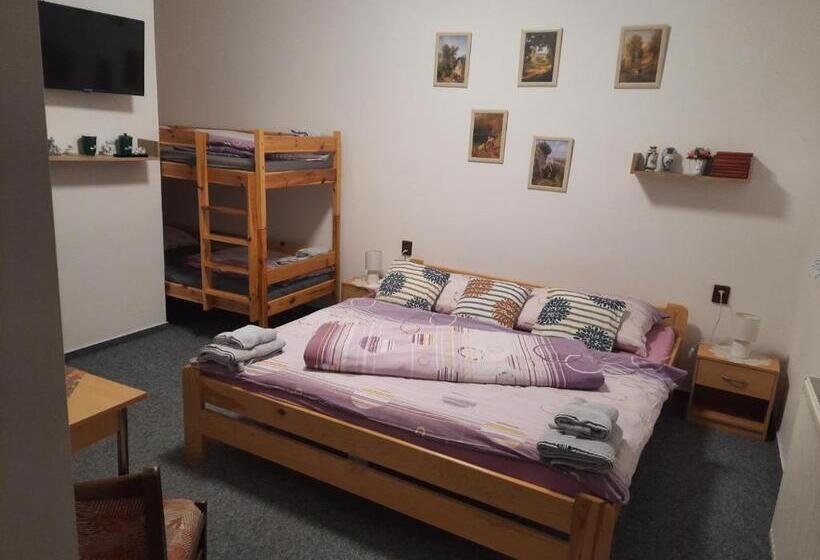 חדר סטנדרט לארבעה, Penzion U Statku