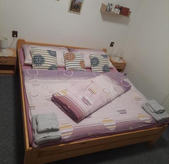 חדר סטנדרט לארבעה, Penzion U Statku