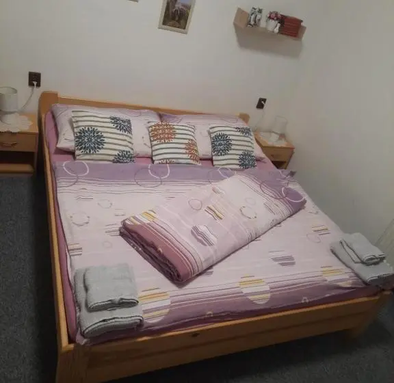 スタンダード４人部屋, Penzion U Statku