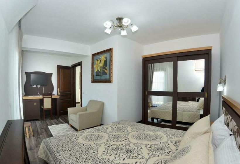 Apartamento 1 Quarto, Pensiunea Paradisul Verde