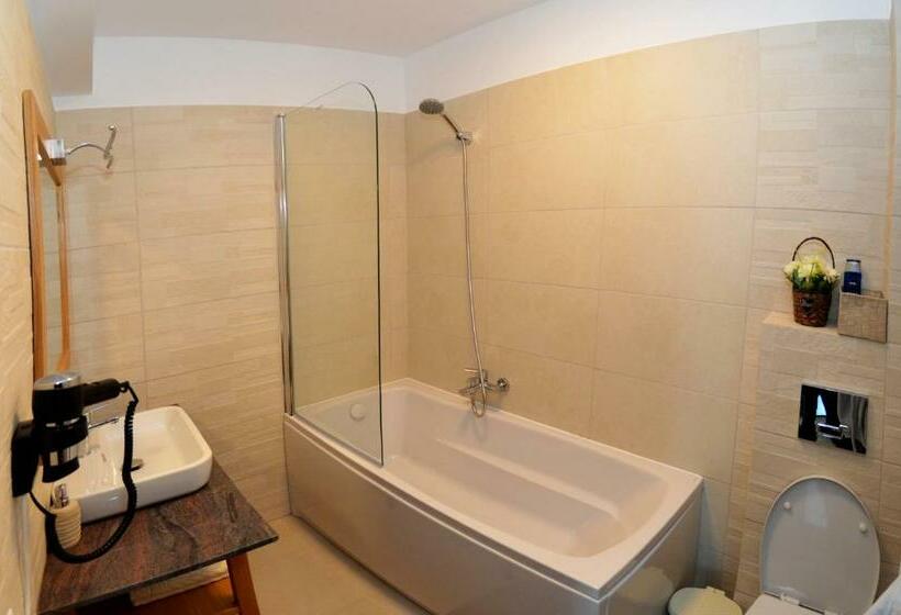 Apartamento 1 Quarto, Pensiunea Paradisul Verde