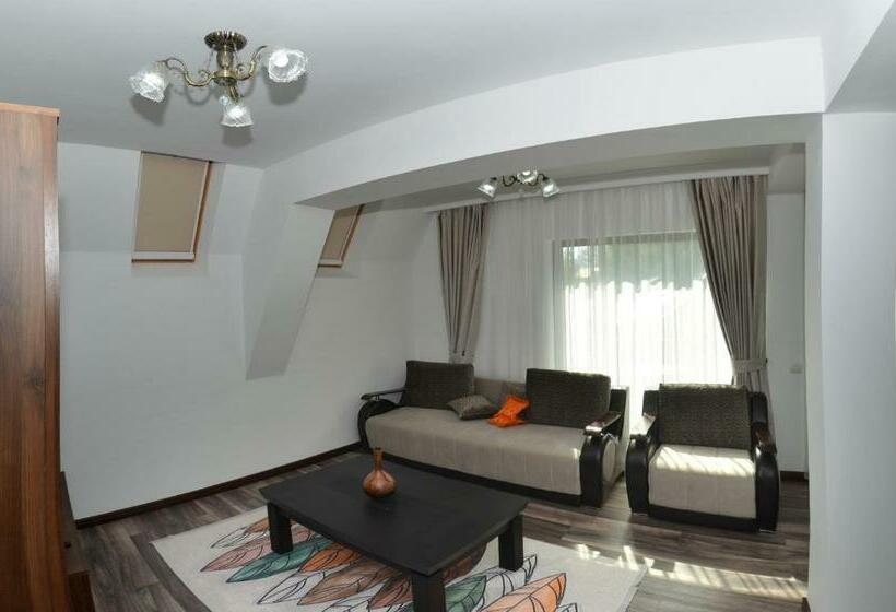 Apartamento 1 Quarto, Pensiunea Paradisul Verde