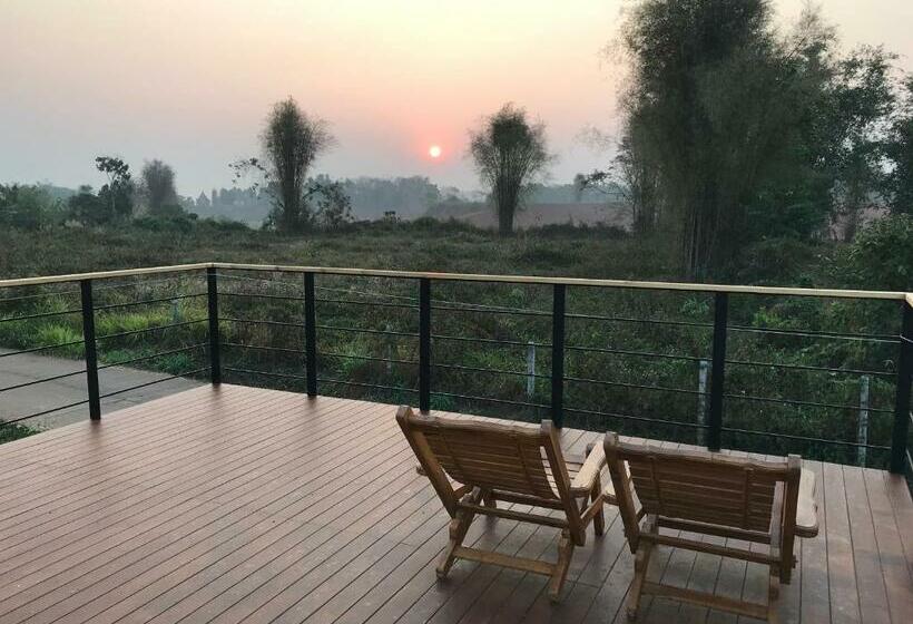 منزل 3 غرف نوم, Aly’s House