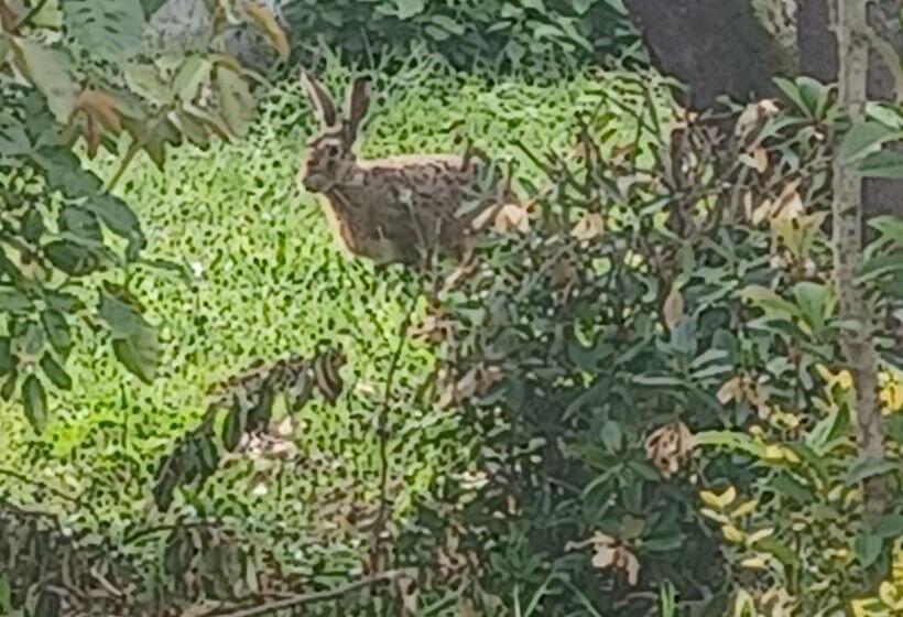 Family Suite, Chambre D Hôtes Au Chant Des Vents